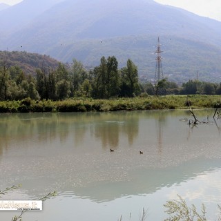 Lago Tana, il Comune respinge le critiche: "La provincia conferma la legittimità degli interventi"