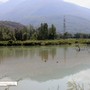 Lago Tana, il Comune respinge le critiche: "La provincia conferma la legittimità degli interventi"