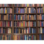 ''I viaggitori immobili'': porte aperte alla biblioteca di Pieve Vergonte