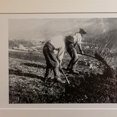 Mostra Carlo Fornara - ph. Marco Benedetto Cerini
