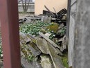Materiale abbandonato al Villaggio Sisma, Uniti per Villa: "Potrebbe esserci amianto, si trovi una soluzione" Materiale abbandonato al Villaggio Sisma, Uniti per Villa: "Potrebbe esserci amianto, si trovi una soluzione"