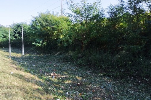 Pulizia lungo la massicciata dalla ferrovia