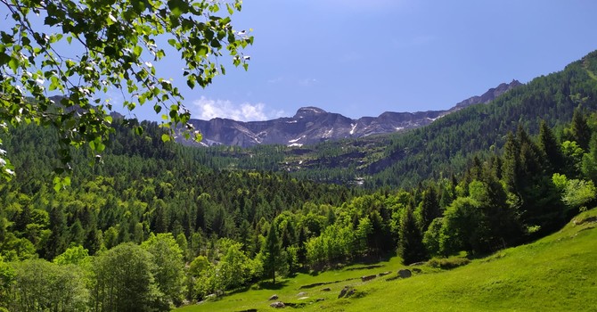 Aree interne, la regione chiede il reinserimento dell'Ossola nel piano nazionale Aree interne, la regione chiede il reinserimento dell'Ossola nel piano nazionale