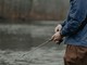 Feeder fishing per principianti: guida alla tecnica e all'attrezzatura
