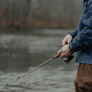 Feeder fishing per principianti: guida alla tecnica e all'attrezzatura
