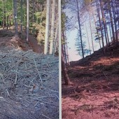 Alcune delle foto allegate dal comitato nell'esposto fatto alle autorità