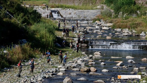 I pescatori tornano a sollecitare Tecnoparco sul problema cormorani