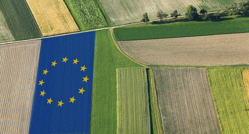 Coldiretti Giovani a Bruxelles: “Fondi Pac solo ai veri agricoltori per garantire il ricambio generazionale” Coldiretti Giovani a Bruxelles: “Fondi Pac solo ai veri agricoltori per garantire il ricambio generazionale”