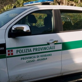 Sessantanove aspiranti per due posti da agente della polizia provinciale nel Vco