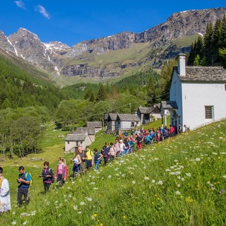 &quot;Pellegrini di speranza&quot;: torna la tradizionale processione walser tra Salecchio e Antillone