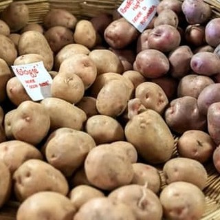 Slow Food al lavoro per creare una Comunità della patata ossolana