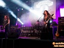 Alla pineta di Malesco dieci ore di musica con Pirates of Rock