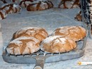 Alla scoperta dei segreti della panificazione al forno di Progno