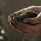 L’allarme di Coldiretti Piemonte: "La cementificazione ci costa 1,2 miliardi di euro di cibo all’anno" L’allarme di Coldiretti Piemonte: "La cementificazione ci costa 1,2 miliardi di euro di cibo all’anno"