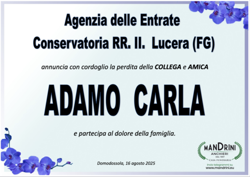 Partecipazione