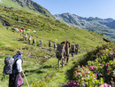 Studi archeologici all'Alpe Cravariola: partecipazione aperta alla cittadinanza Studi archeologici all'Alpe Cravariola: partecipazione aperta alla cittadinanza