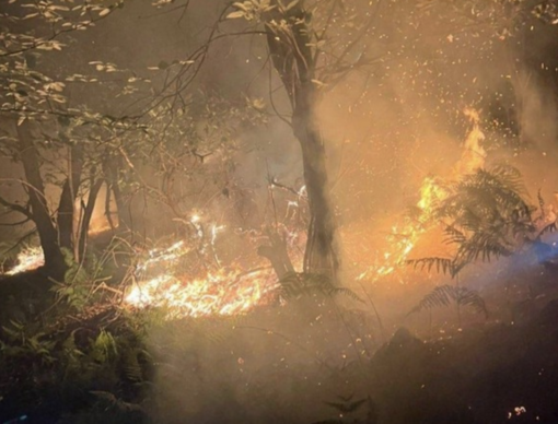 Incendi in Ossola dopo i temporali, elicotteri in azione su più fronti Incendi in Ossola dopo i temporali, elicotteri in azione su più fronti