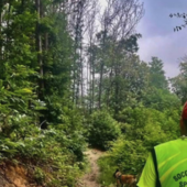 Cercatori di funghi non rientrano dai boschi, ricerche in corso in Val Vigezzo Cercatori di funghi non rientrano dai boschi, ricerche in corso in Val Vigezzo