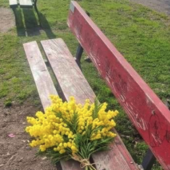 Panchine rosse contro la violenza sulle donne, il M5S chiede maggiore attenzione alla manutenzione Panchine rosse contro la violenza sulle donne, il M5S chiede maggiore attenzione alla manutenzione