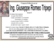 Ing. Giuseppe Romeo Tripepi83 anni