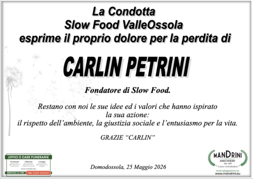 Partecipazione Partecipazione