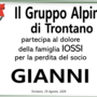 Partecipazione Partecipazione
