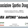 Partecipazione