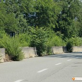 La vegetazione sulla statale 33 La vegetazione sulla statale 33