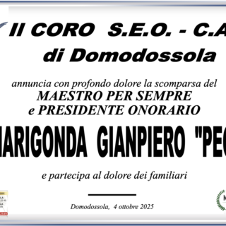Partecipazione