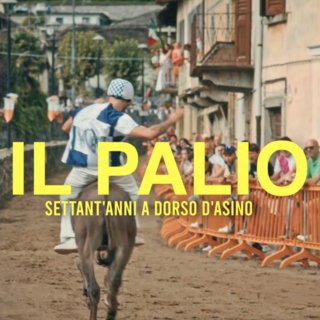 Il Palio degli Asini di Premosello diventa un docufilm VIDEO Il Palio degli Asini di Premosello diventa un docufilm VIDEO