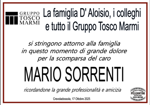 Partecipazione