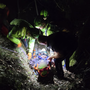 Domo, 84enne precipita in un canale a Quartero mentre cerca funghi: intervento dell’eliambulanza in volo notturno VIDEO