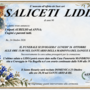 Saliceti Lidia di anni 90