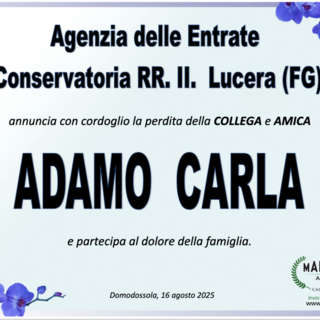Partecipazione
