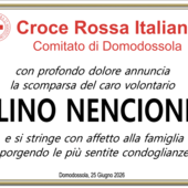 Partecipazione Partecipazione