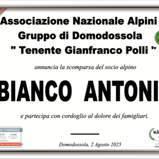 Partecipazione