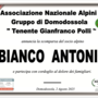 Partecipazione