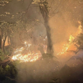 Incendi nei boschi del Vco, roghi ancora attivi in cinque diverse zone Incendi nei boschi del Vco, roghi ancora attivi in cinque diverse zone