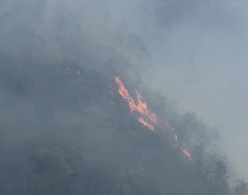 Incendio tra Vogogna e Beura, il fronte raggiunge la valle del Rio di Prata Incendio tra Vogogna e Beura, il fronte raggiunge la valle del Rio di Prata