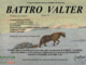 Battro Valter di anni 70 Battro Valter di anni 70