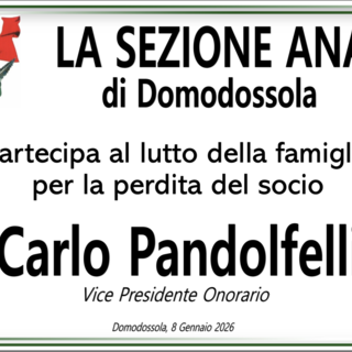Partecipazione
