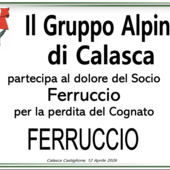 Partecipazione Partecipazione