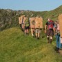 “Oltre ogni Limite”: trekking tra pascoli, memoria e libertà
