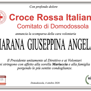 Partecipazione