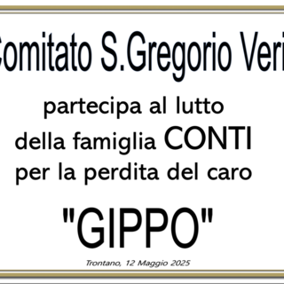 Partecipazione