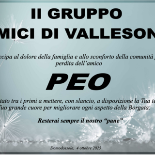 Partecipazione