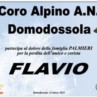 Partecipazione