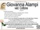 Giovanna Alampi ved. Cottone di anni 84 Giovanna Alampi ved. Cottone di anni 84