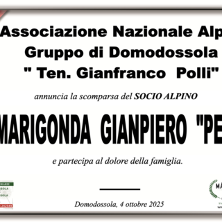 Partecipazione