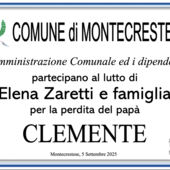 Partecipazione
